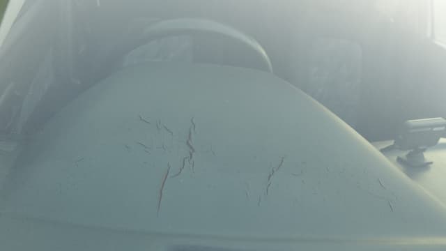 1998 Nissan Skyline JDM car for sale — photo 12 of 15