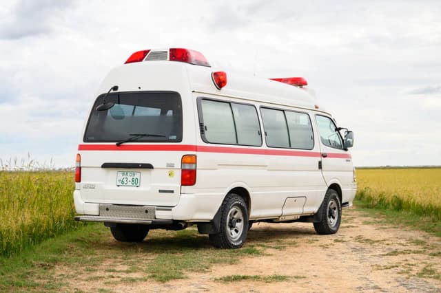 1999 Toyota HiAce JDM car for sale — photo 2 of 20