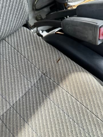 1994 Daihatsu Hijet JDM car for sale — photo 22 of 25