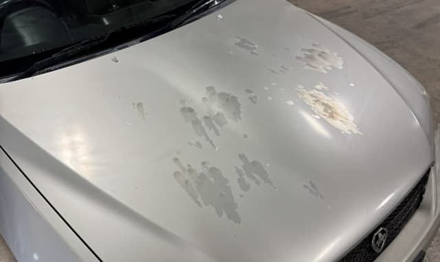 2001 Toyota Altezza JDM car for sale — photo 24 of 25