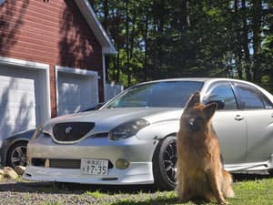 2001 Toyota Verossa JDM car for sale