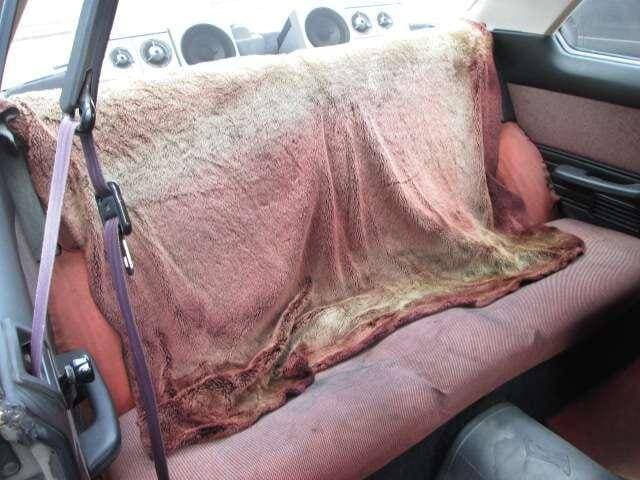 1982 Nissan Skyline JDM car for sale — photo 7 of 20