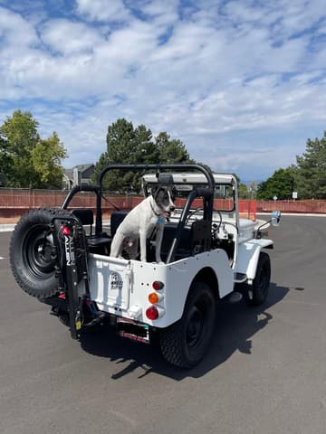 1989 Mitsubishi Jeep JDM car for sale — photo 8 of 25