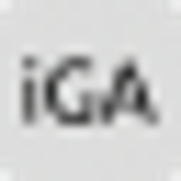 iGETAUTO logo