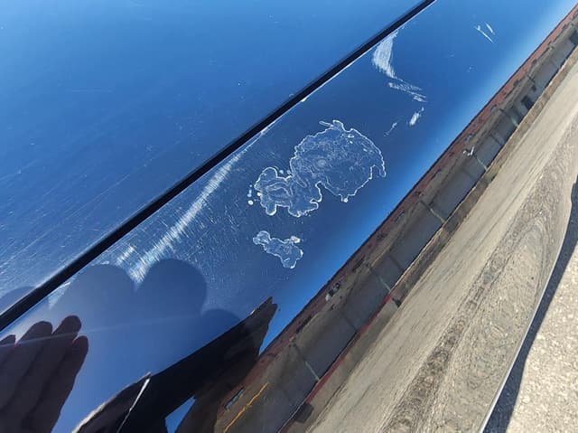 1998 Toyota Century JDM car for sale — photo 23 of 24