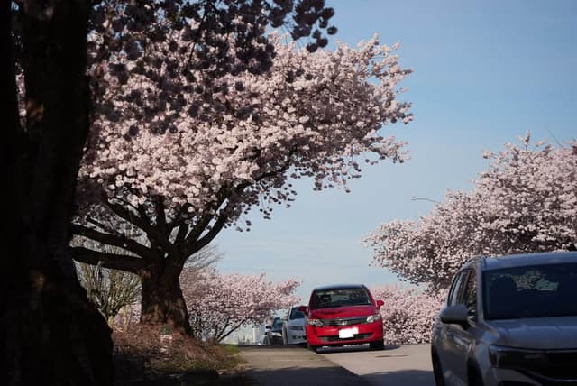 2007 Honda Airwave JDM car for sale — photo 4 of 7