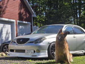 2001 Toyota Verossa JDM car for sale