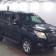JDM 2010 TOYOTA LAND CRUISER PRADO TX for sale