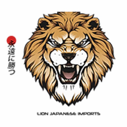 LION JDM IMPORTS LLC